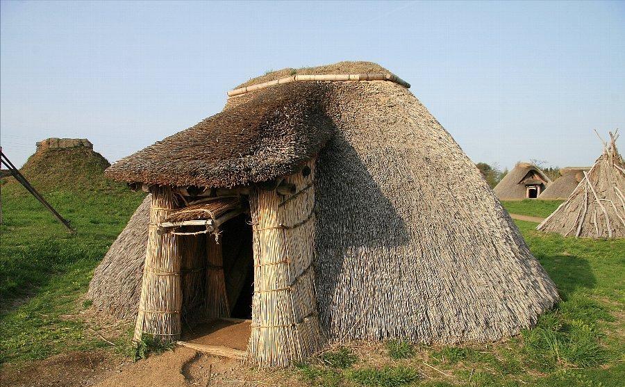 了解了日本历史的日本人,日本人原本是哪里人