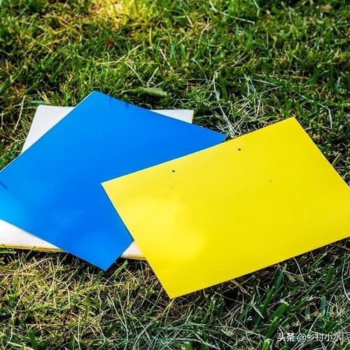 辣椒挂果会烂果是什么原因,16种辣椒病害辣椒爱坏怎么办