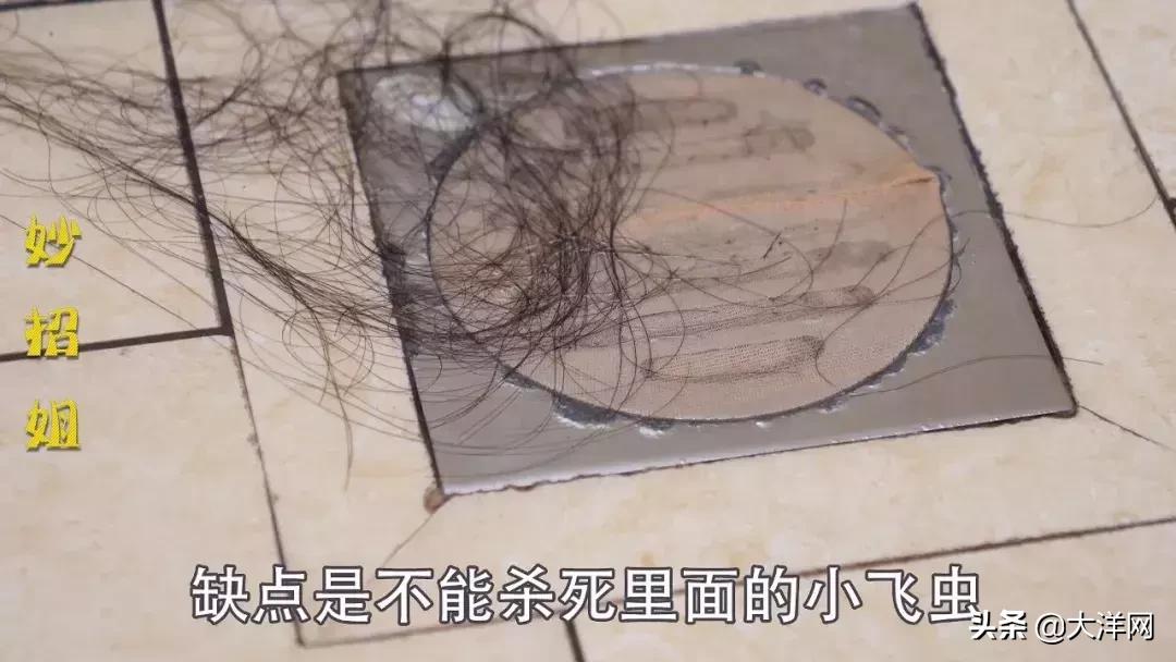 怎样根治家中的小飞虫,家里一堆小飞虫怎么解决