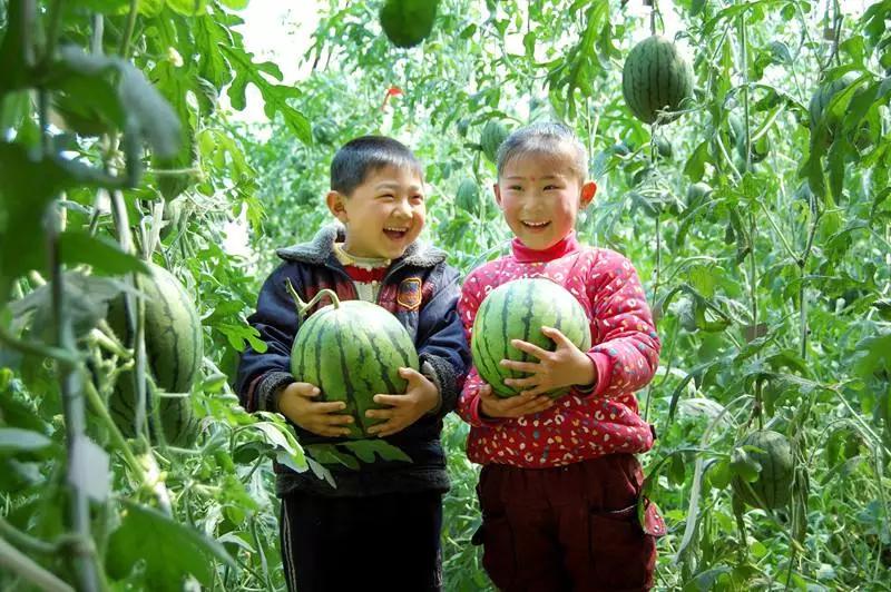 热干面醒了！潍坊肉火烧们坐不住了！