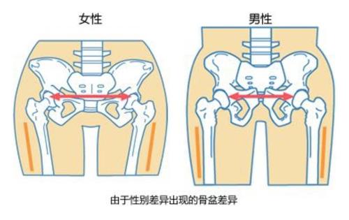 为什么男生的腿总比女生瘦,为什么男生的腿普遍都比女生腿细