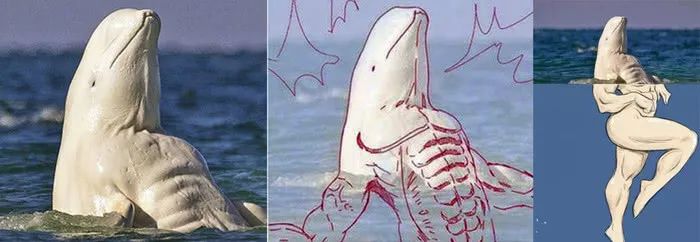 *兽禽**们搞起比利来有多“骚”？