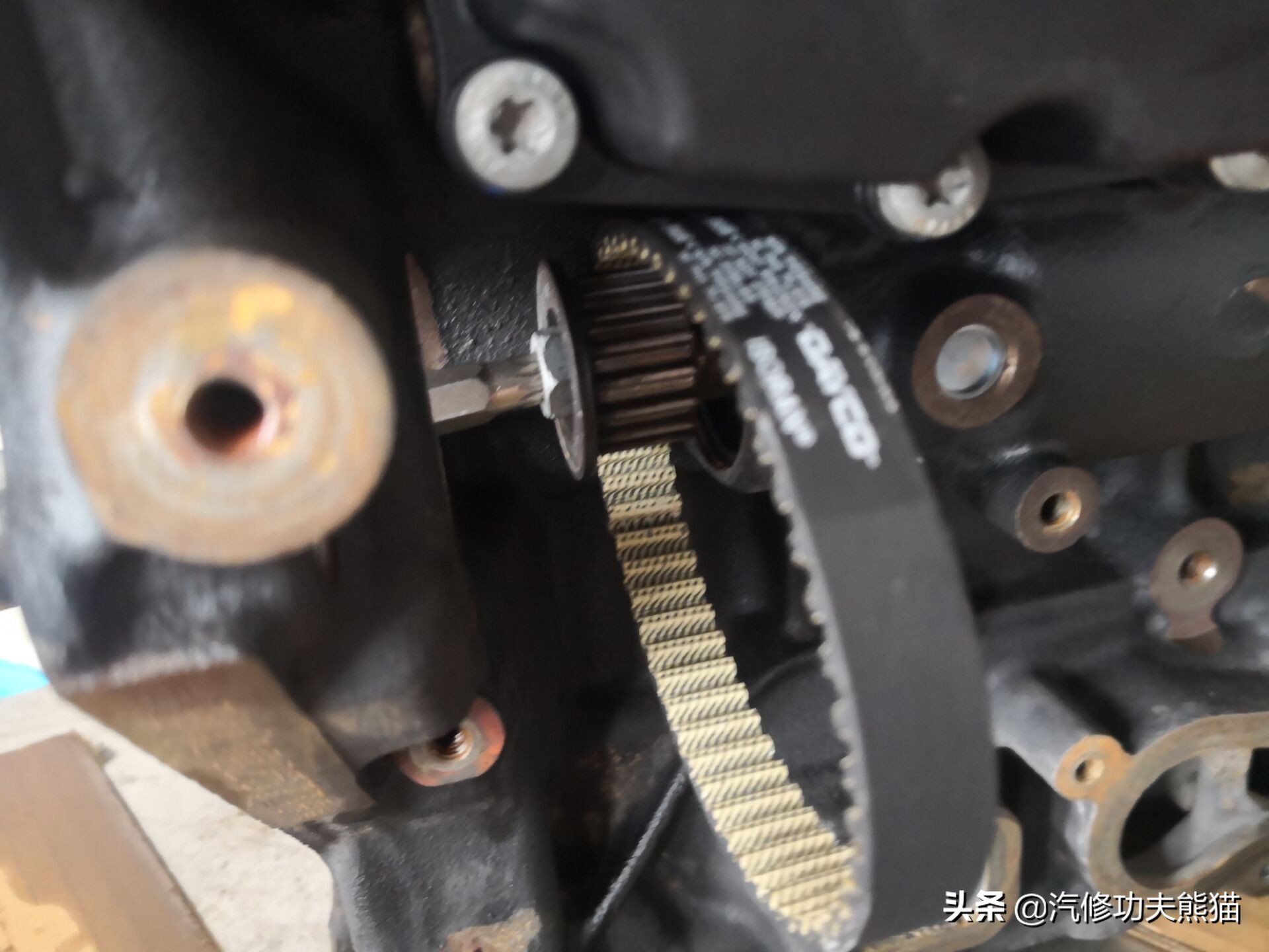 斯柯达明锐2010款2.0烧机油吗,09款斯柯达明锐1.6烧机油怎么解决