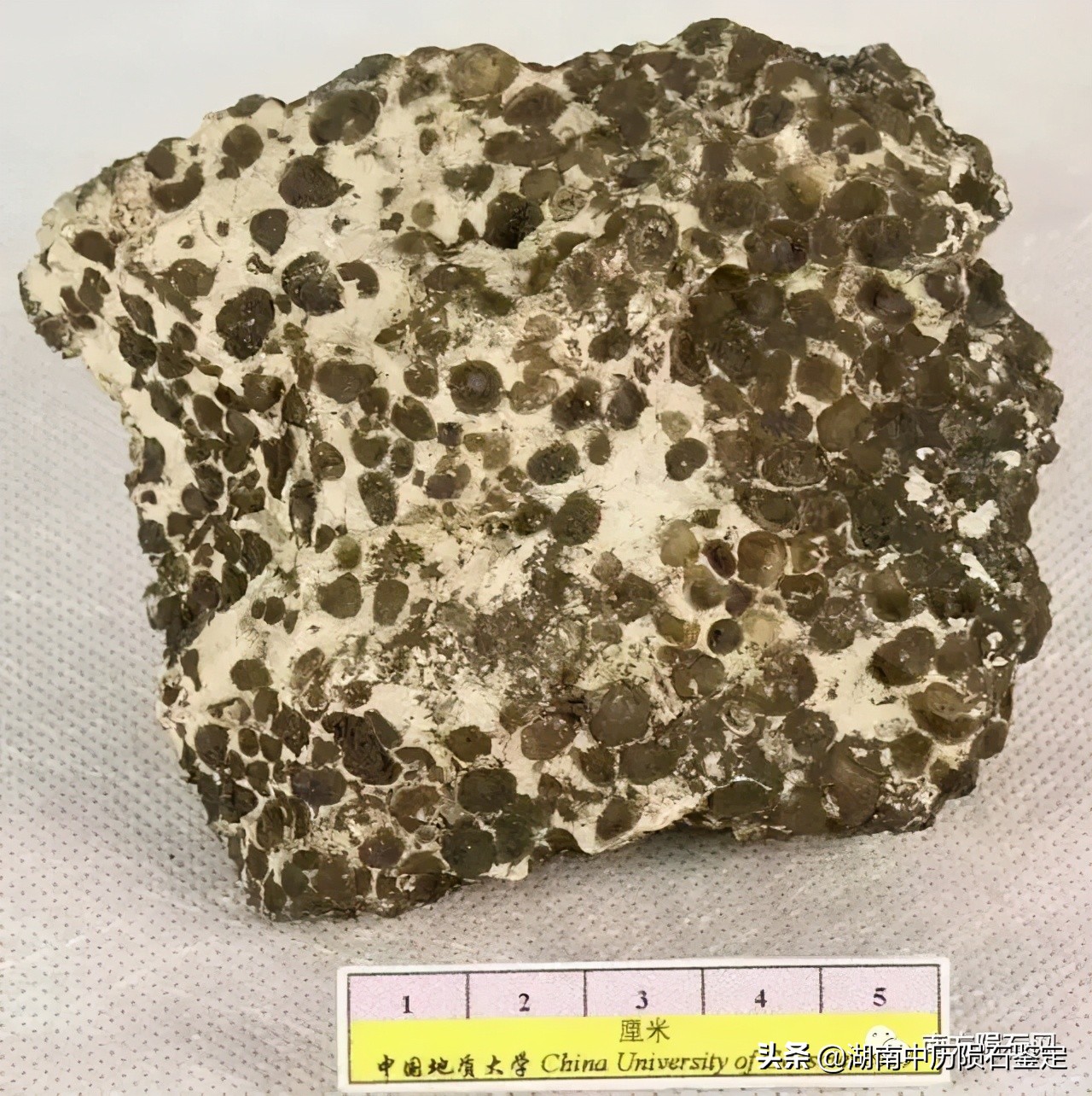 月球陨石与地球矿石的区别,月球陨石和矿石有什么区别