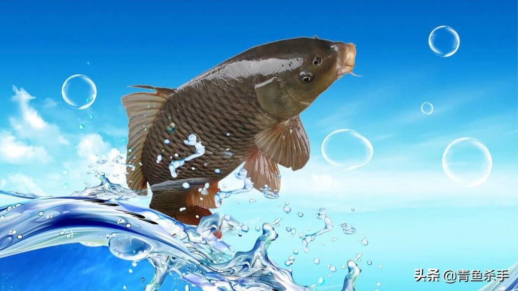 玩路亚老是炸线怎么回事,钓路亚老是炸线是什么原因