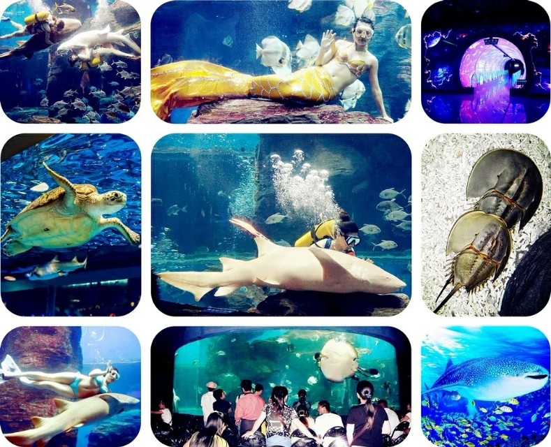 北海海洋之窗优惠,北海海洋之窗优惠政策