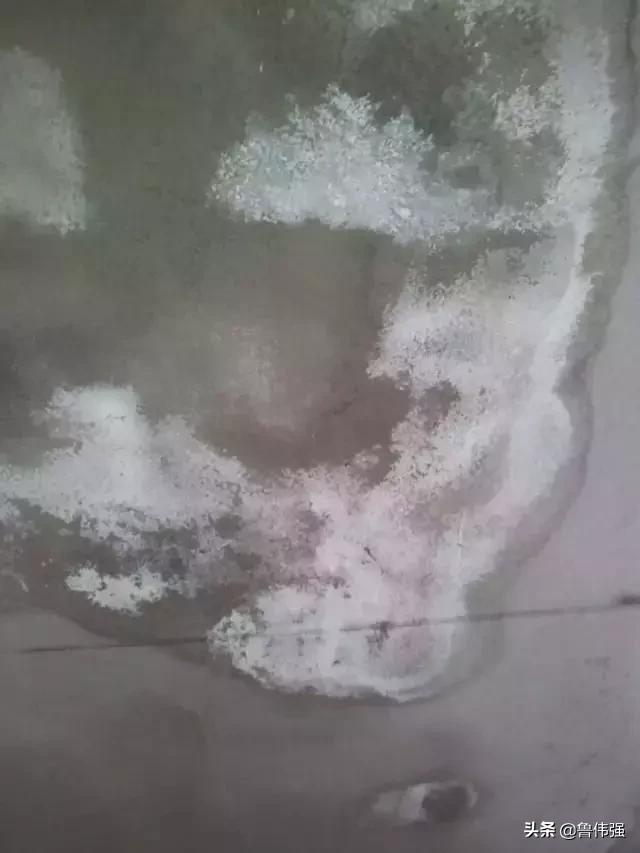 墙面受潮返碱怎么解决,靠近卫生间的墙面返碱怎么办