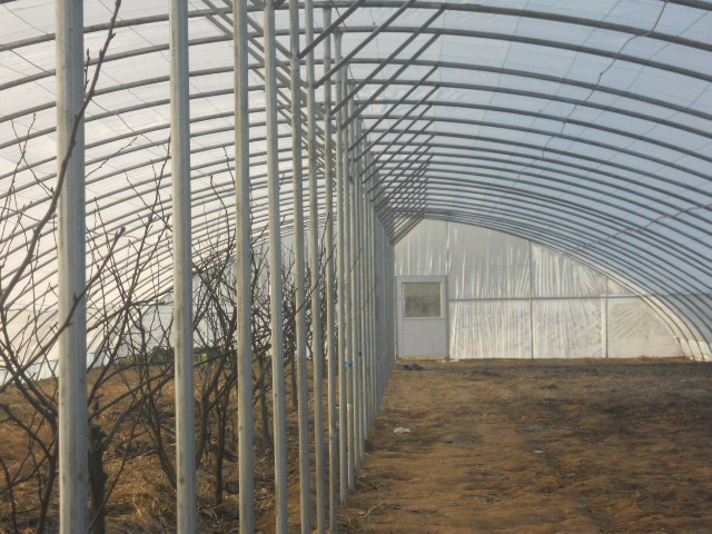 大棚骨架加固,大棚骨架怎么加固防压塌