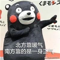 香港购物必买药品,香港十大必买药品第一名