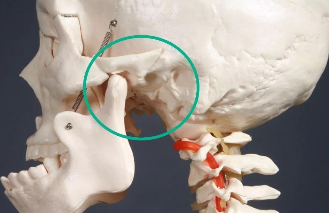 有趣的王老太,有趣的王老太太