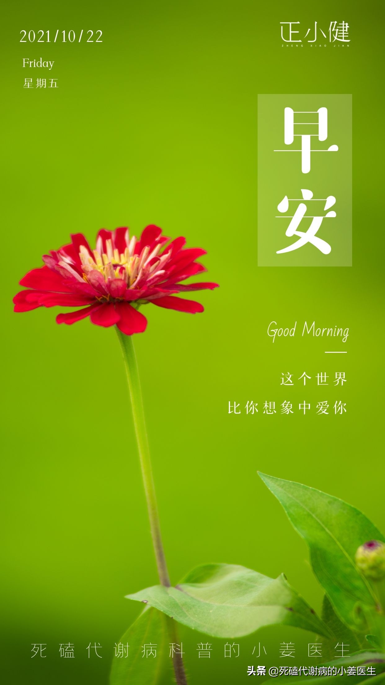 樱桃有没有降尿酸的作用,小樱桃降尿酸的原理