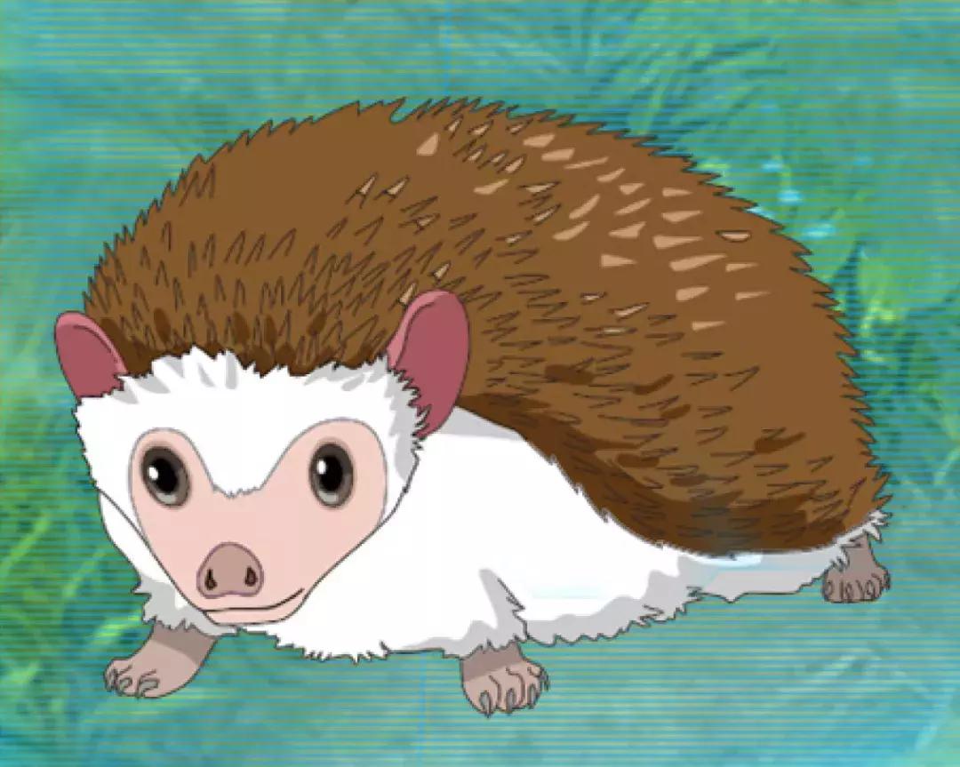 刺猬不会咬人它唯一的防御方式,刺猬如何防御天敌