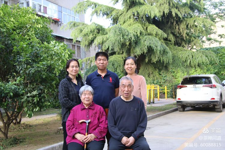 父亲的生日,父亲的生日完整版