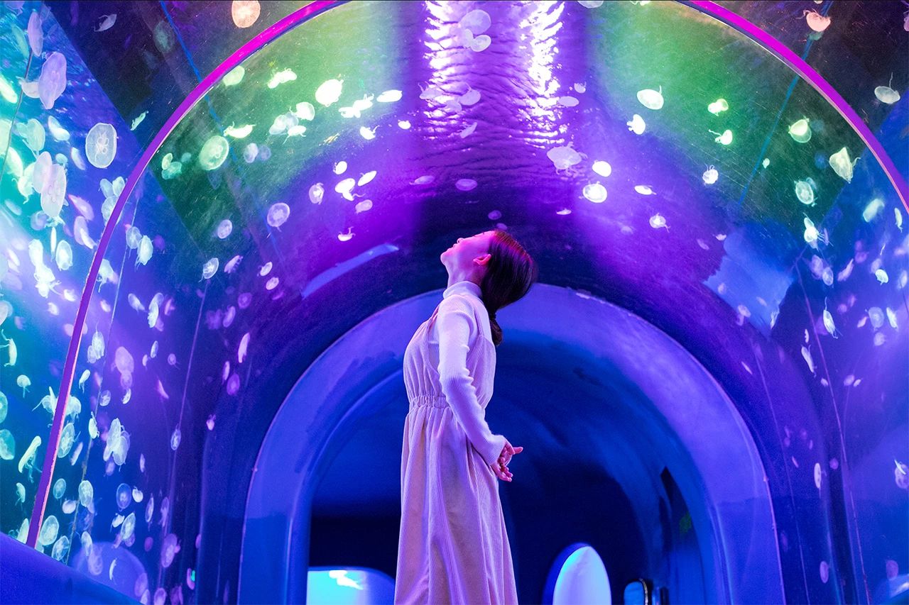 深圳游玩最佳地点排行榜前十名,深圳适合小孩游玩最佳地方推荐