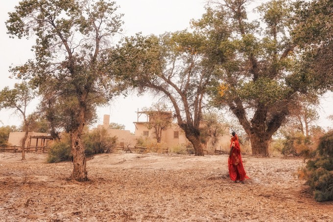 大美*疆新**，一个快递不包邮的地方，藏着不一样的异域风情