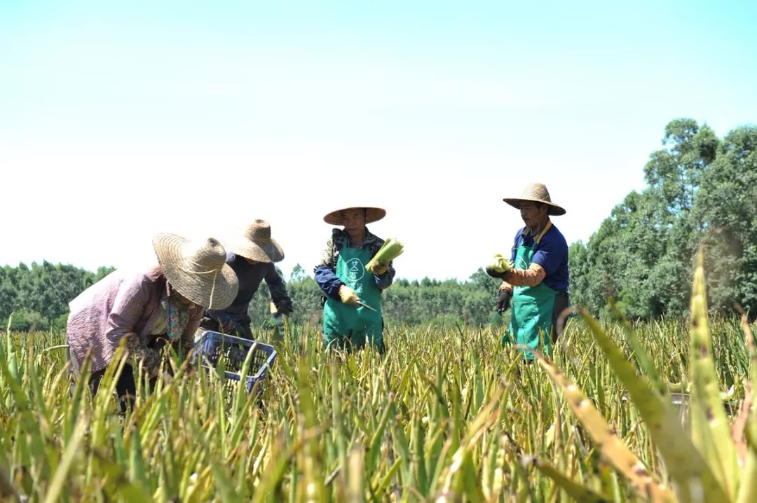 李佳琦推荐的护肤好物，连老爸测评都点赞，价格还不到100元