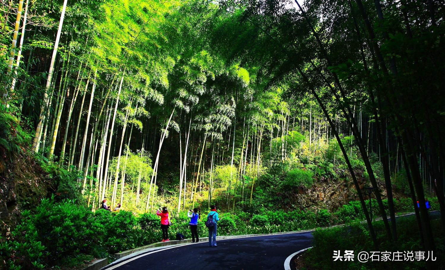 海阳海景房最新优惠政策,山东省海阳市海景房价格