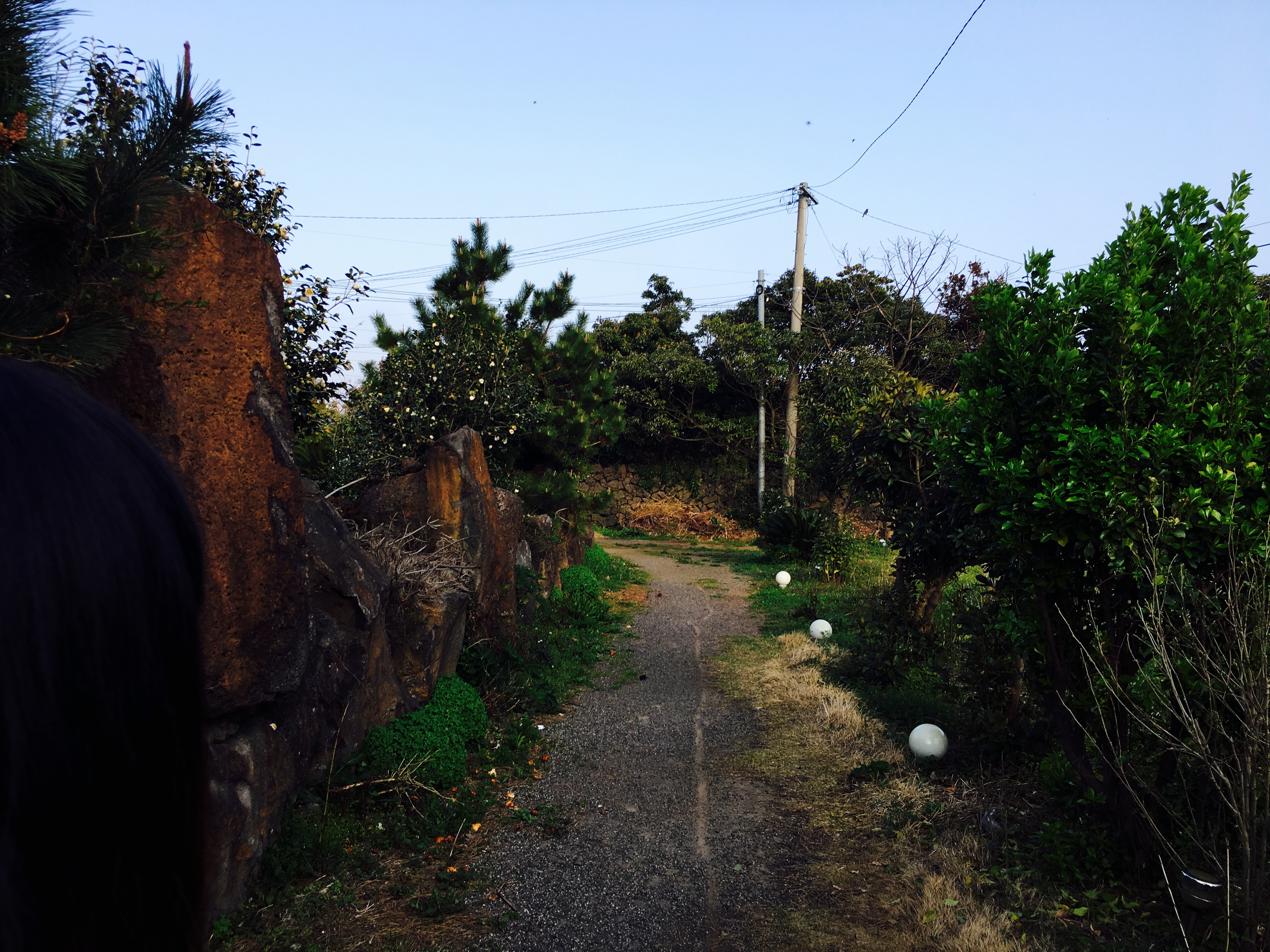 出国游玩新手小白,出国去韩国济州岛打工