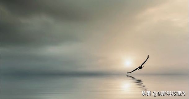 关于“道”的绝密信息,有缘人可见