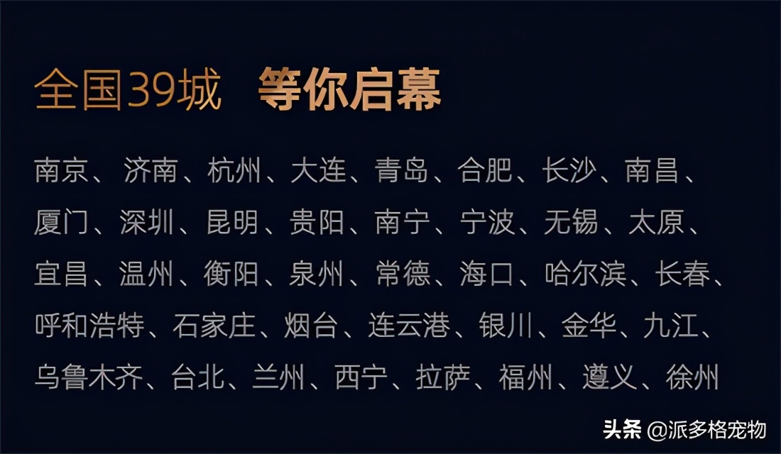 珠海斗门派多格宠物,派多格宠物珠海综合体