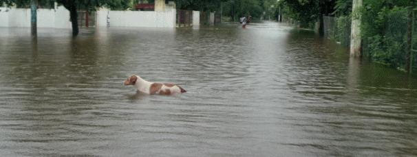 是你们说的全程高潮，但结局我想骂街