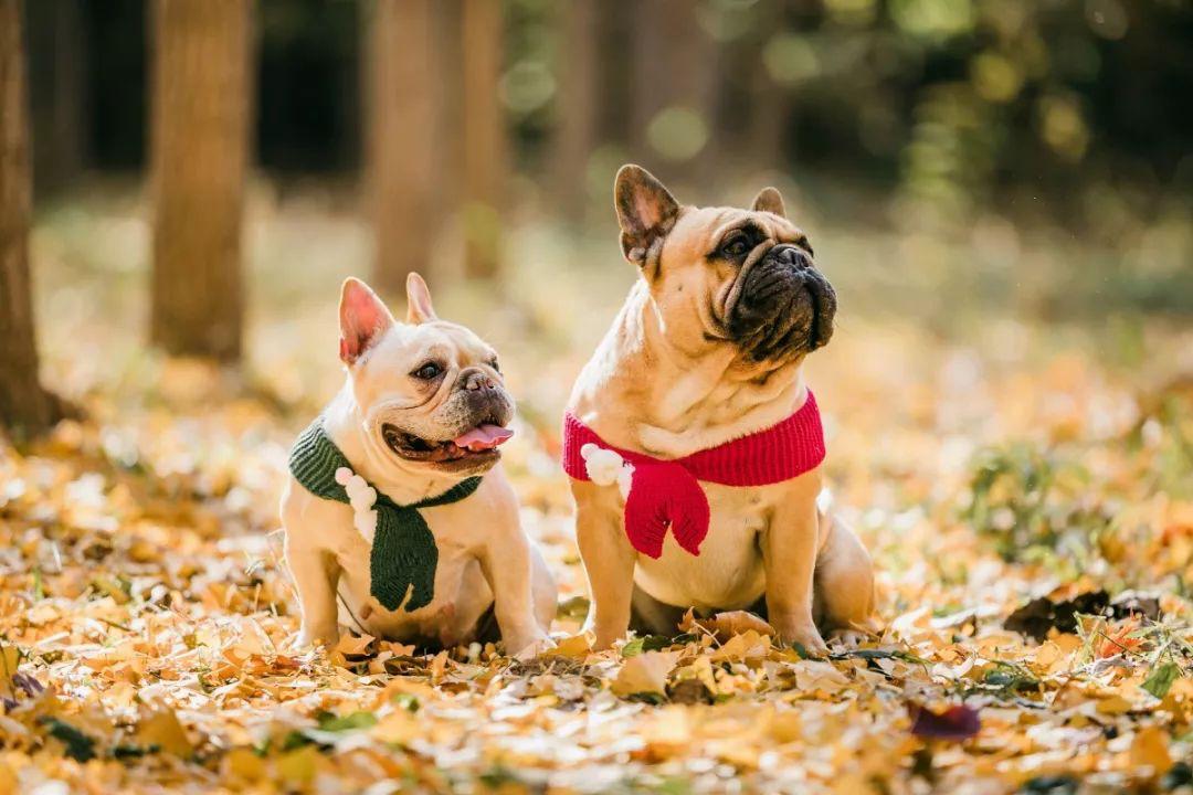 美妆免单！万支梦龙免费送！这个520，“斗”爱星光！