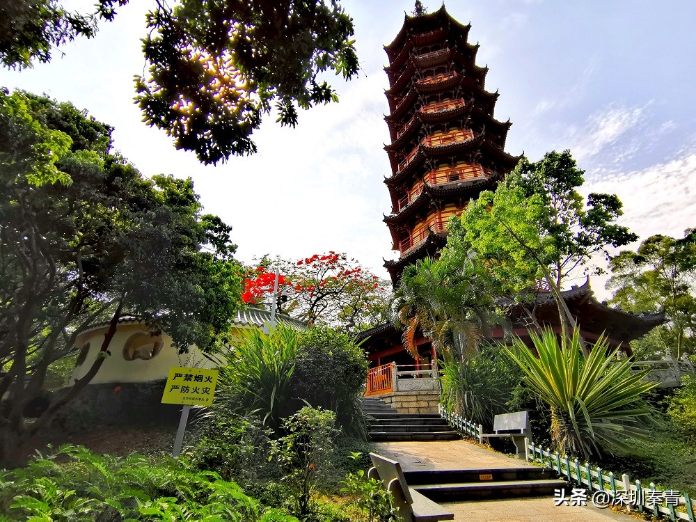 深圳的龙华小公园,广东深圳龙华公园在哪里