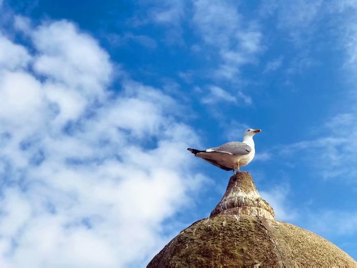 去摩洛哥自由行攻略,摩洛哥游玩自由行攻略