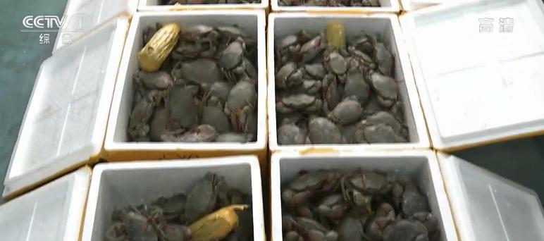 闄嶇◣鍟嗗搧鍏ュ叧鏂板勾,2020骞撮檷鍏崇◣鍟嗗搧娓呭崟