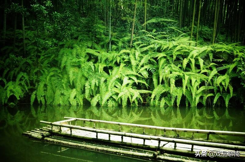 航拍长宁县城全貌视频,长宁最美的地方