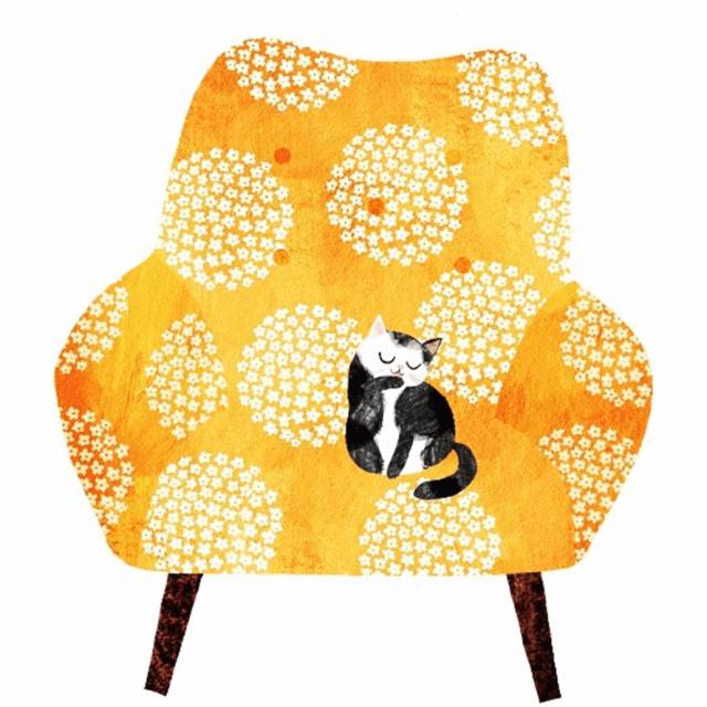 姑娘1天画1只猫坚持了100天 (坚持画猫100天的姑娘太有才了)