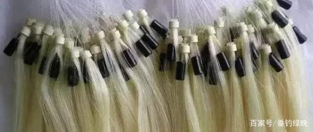 新手不会玩怎么钓鱼,新手钓鱼不会挥杆