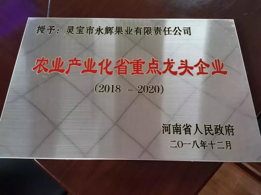 30元一颗的“灵宝金苹果”,如何在跌宕起伏的水果行业稳固生存?