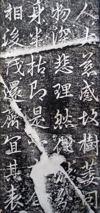 唐代李邕《婆罗树碑记》