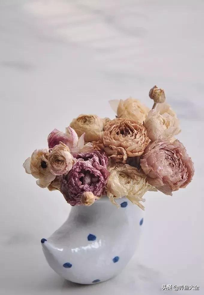 8种能做干花的鲜花，男朋友送的花就这么做