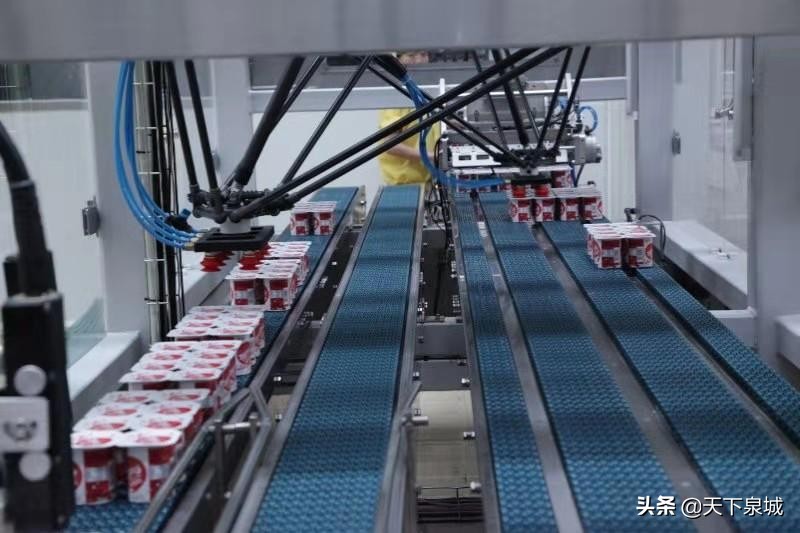 名企名品看济南：国内外巨头夹击，这家区域乳企靠啥杀出重围？