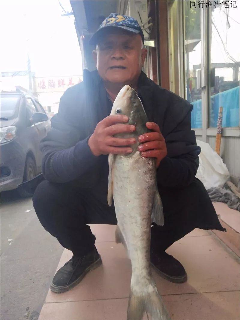 钓鱼笔记1,钓鱼笔记最新视频