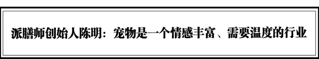 谁在重新定义千亿宠物消费,论中国宠物业的发展前景