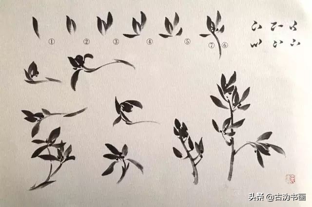 徐湛国画兰花技法教学,国画兰花入门技法