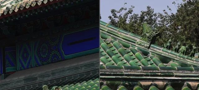 佳能rf100-500mm镜头拍鸟,佳能长焦相机100倍