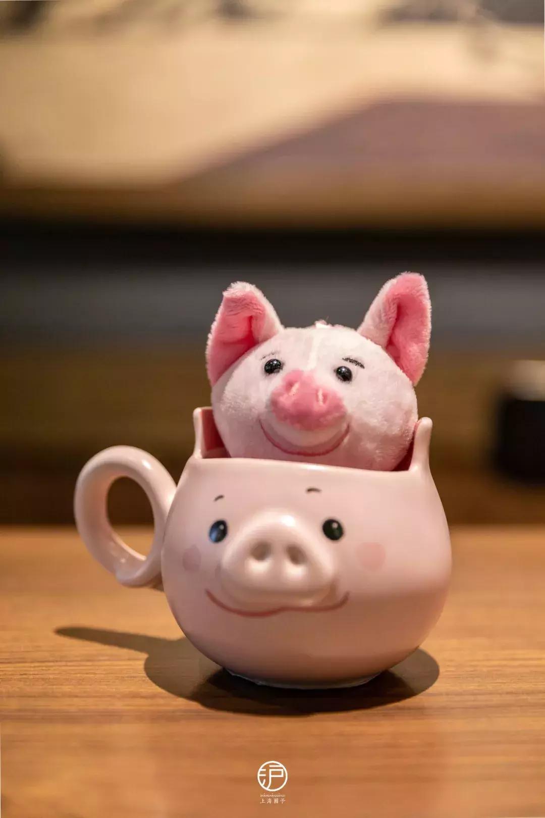 星巴克猪猪杯到哪预订,星巴克最新限定杯