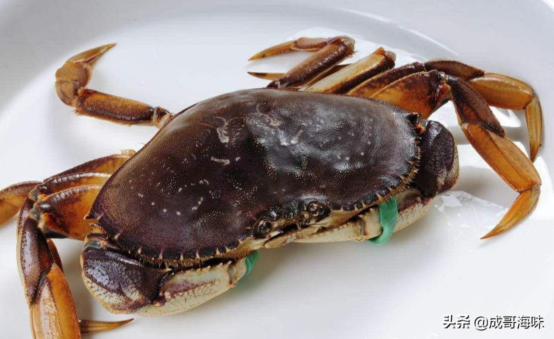 吃海鲜的六大忌你知道吗,吃海鲜不为人知的黑幕