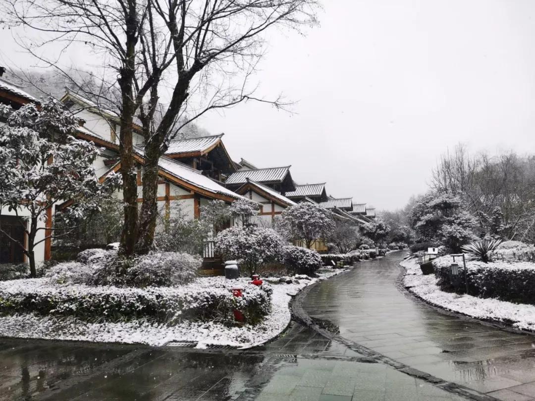 遵义金鼎山雪景,雪景景区推荐遵义