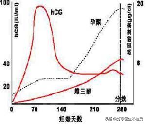 葡萄胎后一年半会怀上葡萄胎么,葡萄胎后还会怀上葡萄胎吗