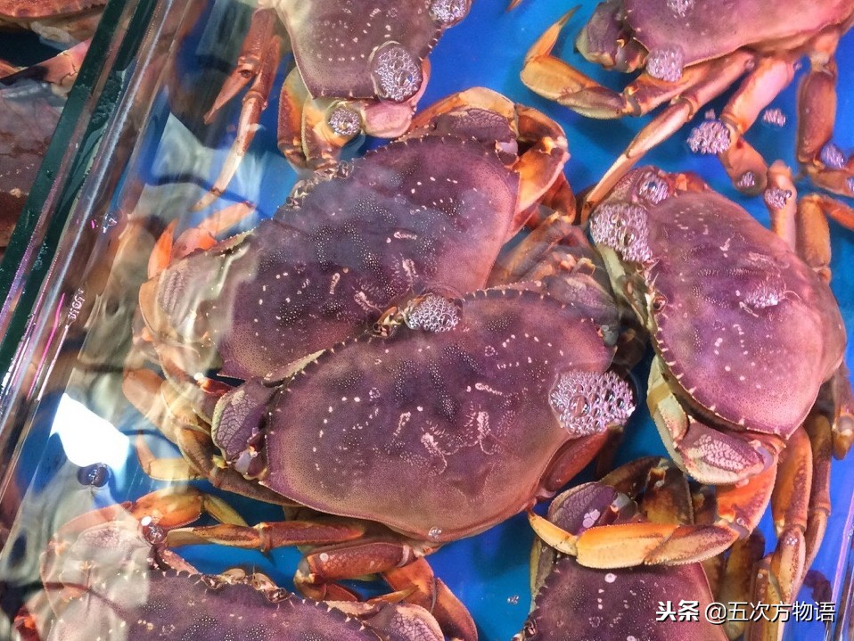 青岛市场帝王蟹种类,海鲜市场都有什么海蟹品种
