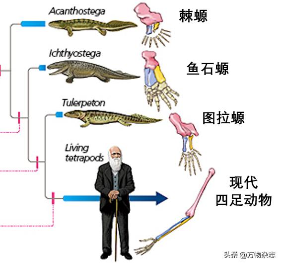 热牛奶冷了会起皮,热牛奶放多久会变质