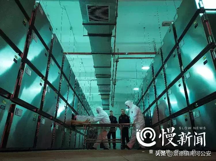 法医悬疑系列电影,10部好看的法医悬疑电影