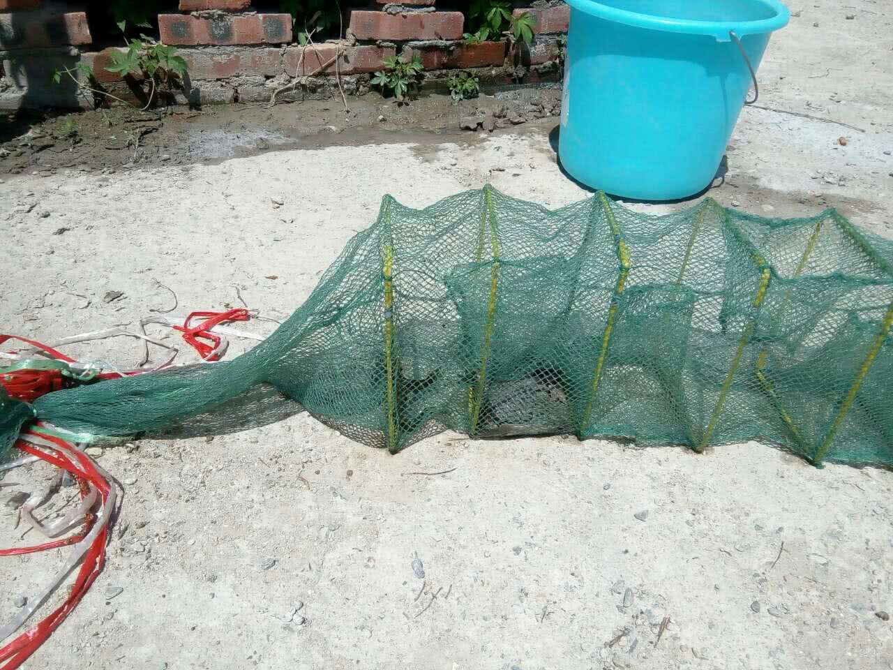 鱼也不能捕了?这三种捕鱼行为均不合规,有人已受罚,农民要注意