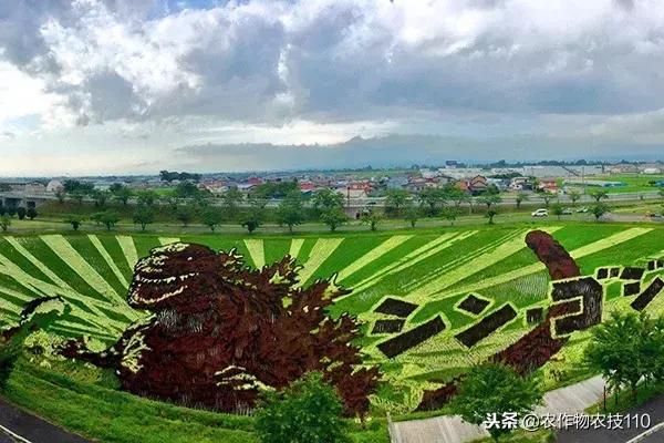 艺术与农业的饕餮盛宴,艺术与农产品结合的创新之处