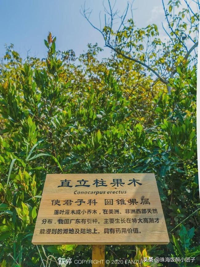 珠海最值得去的地方旅游攻略,珠海十大绝美夜景